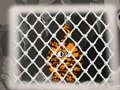 Leikur Tiger Escape 1 á netinu