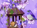 Leikur Dásamlegur Humming Bird Land Escape  á netinu