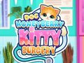Leikur Doc Honeyberry Kitty skurðaðgerð á netinu