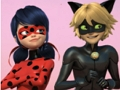 Leikur Kraftaverka Ladybug & Cat Noir Jigsaw Puzzle  á netinu