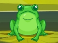 Leikur Frog Match Master á netinu