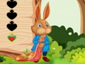 Leikur Íkorna flýja  á netinu