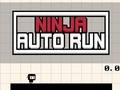 Leikur Ninja Auto Run á netinu