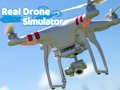 Leikur Raunverulegur drone hermir  á netinu