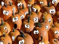 Leikur Halloween púsluspil á netinu