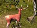 Leikur Stag Hunt á netinu