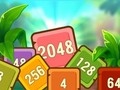 Leikur Tropical Cubes 2048 á netinu