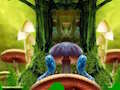 Leikur Fantasy Peacock fjölskylda flýja á netinu