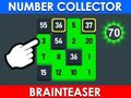 Leikur Númerasafnari: Brainteaser  á netinu