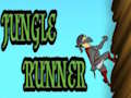Leikur Jungle Runner á netinu