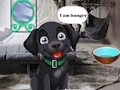 Leikur Fæða Hungry Black Dog  á netinu