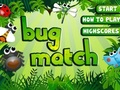Leikur Bug Match á netinu