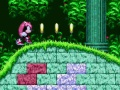 Leikur Mighty & Ray í Sonic 2  á netinu
