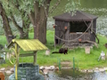 Leikur Mystery Lake Escape á netinu