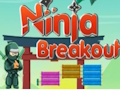 Leikur Ninja brot á netinu