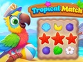 Leikur Tropical Match á netinu