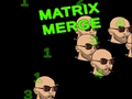 Leikur Matrix sameinast á netinu