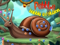 Leikur Pebble Bubble Evolution á netinu