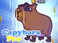 Leikur Capybara Pro á netinu