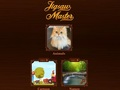 Leikur Jigsaw meistari á netinu
