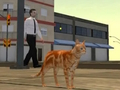 Leikur Cat City hermir  á netinu