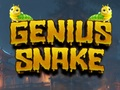 Leikur Snillingur Snake  á netinu