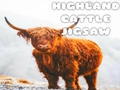 Leikur Highland nautgripir á netinu