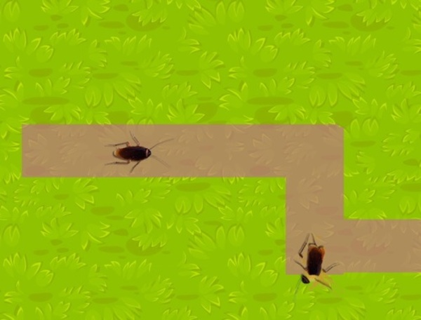 Leikur Skordýrakrusher  á netinu