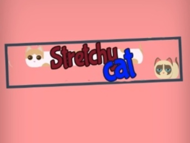 Leikur Teygjanlegur köttur  á netinu