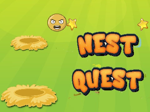 Leikur Nest leit  á netinu