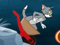 Leikur Tom og Jerry bruni  á netinu