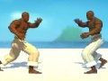 Leikur Capoeira bardagamaður  á netinu