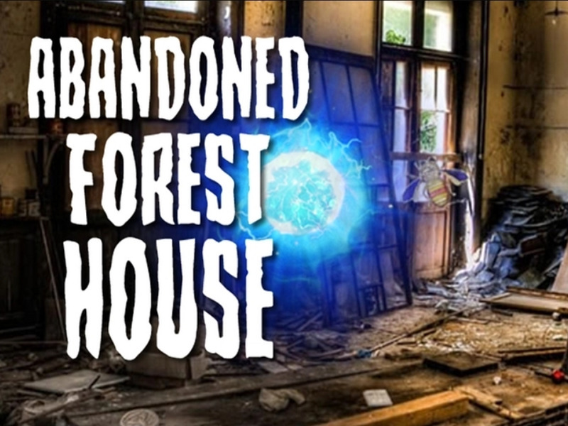 Leikur Yfirgefin Forest House á netinu