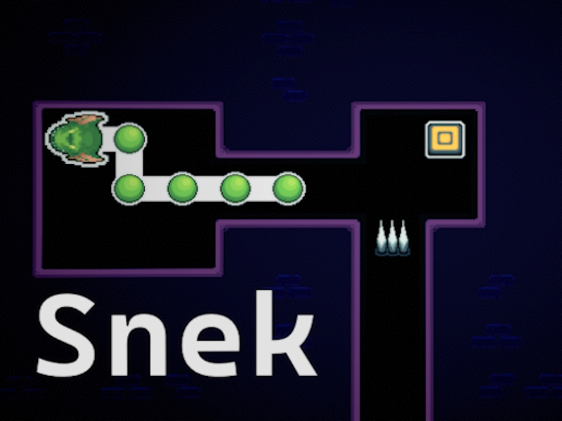 Leikur Snek á netinu