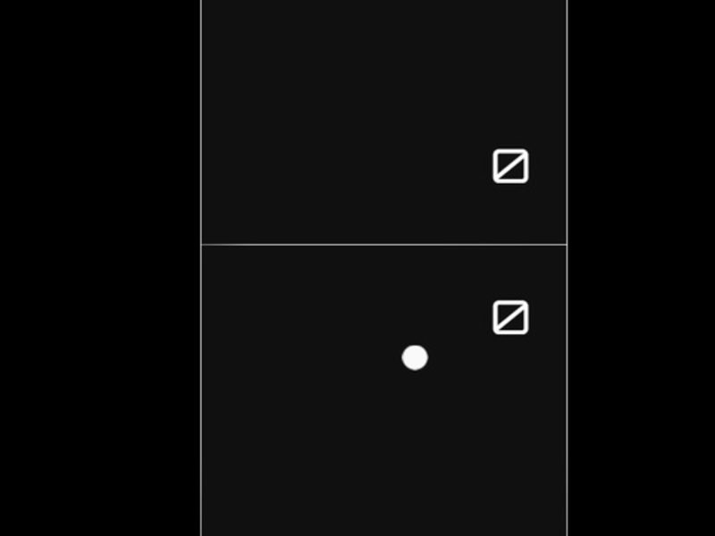 Leikur Svart og hvítt ping pong á netinu