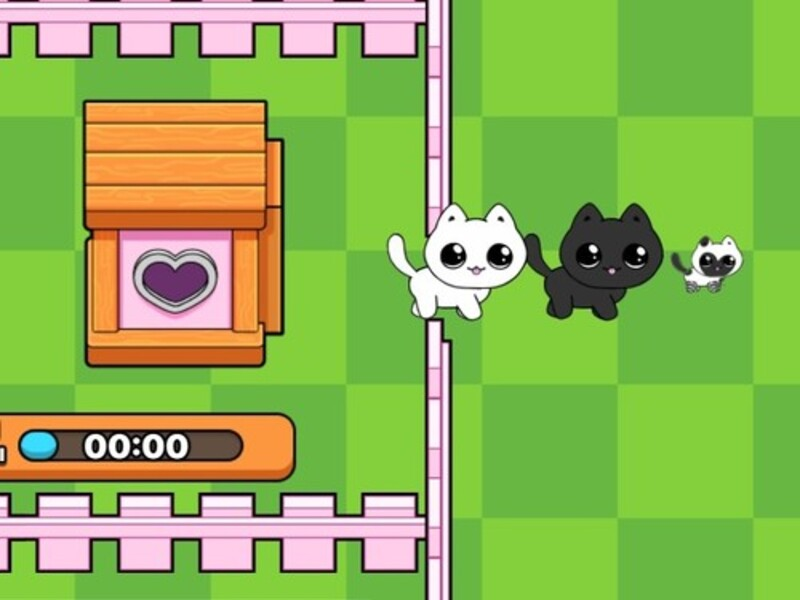 Leikur Kettlingar mínir. Catworld á netinu