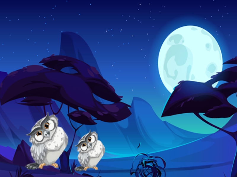 Leikur Night Paws Rescue á netinu
